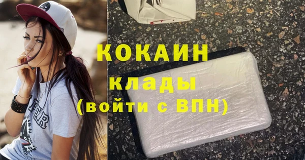 твердый Горняк
