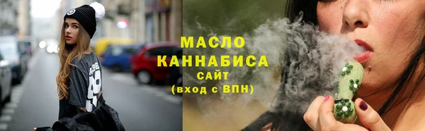 твердый Горняк