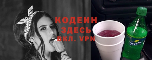 твердый Горняк