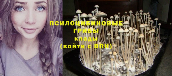 спайс Горно-Алтайск