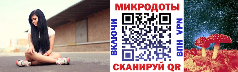 Купить закладки Лебедянь Псилоцибиновые грибы MAGIC MUSHROOMS